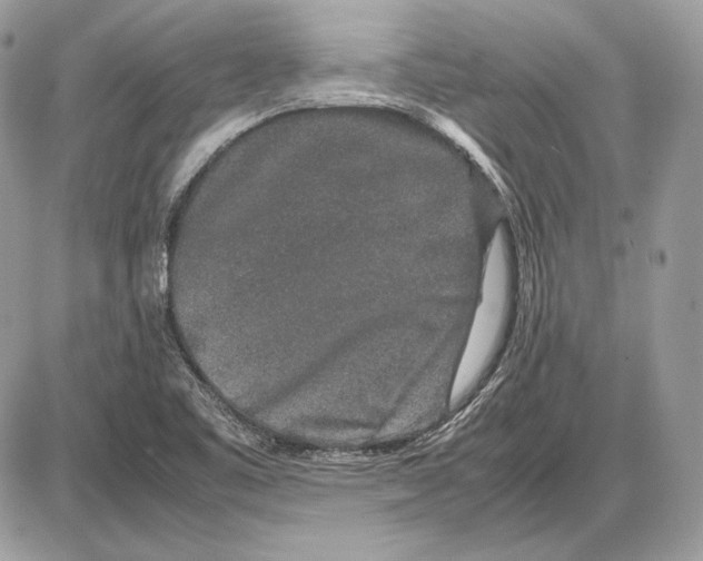 X0000085781461200704131816