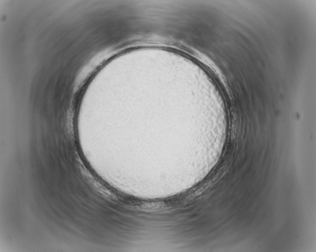 X0000085781464200704131816