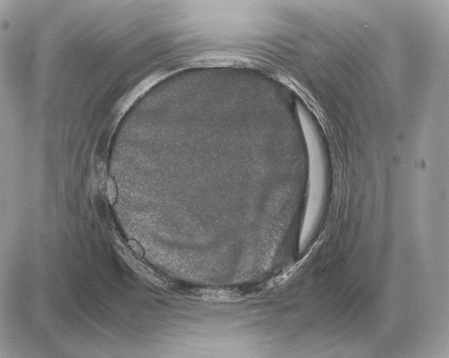 X0000085781465200704131816