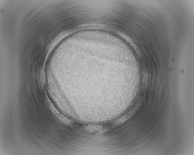 X0000085781466200704131816