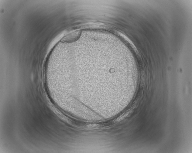 X0000085781467200704131816