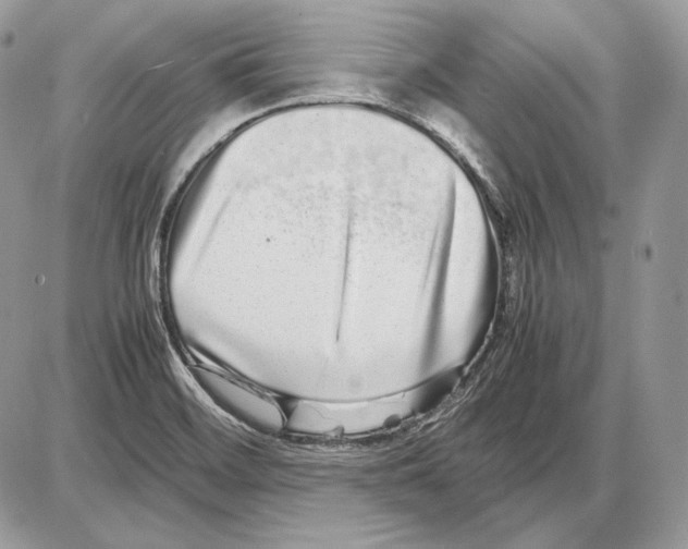 X0000085781468200704131816