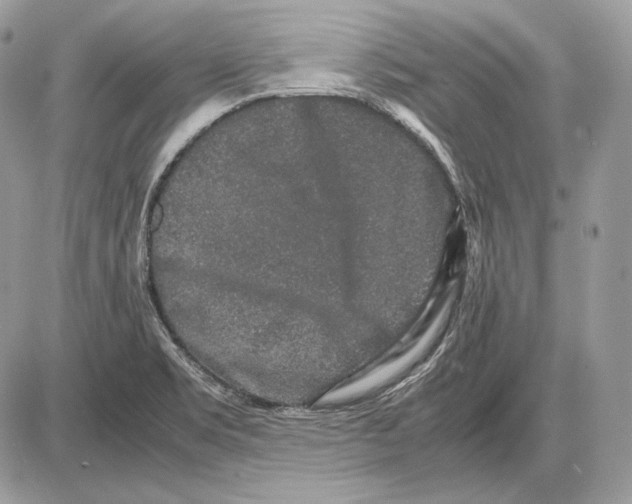 X0000085781469200704131816