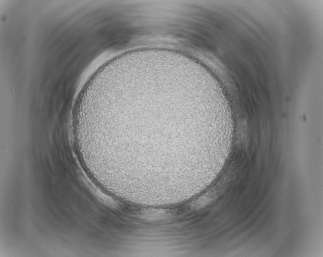 X0000085781470200704131816