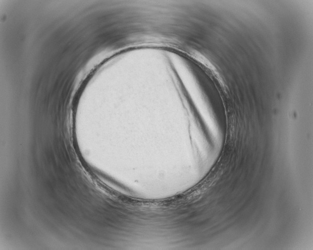 X0000085781472200704131816