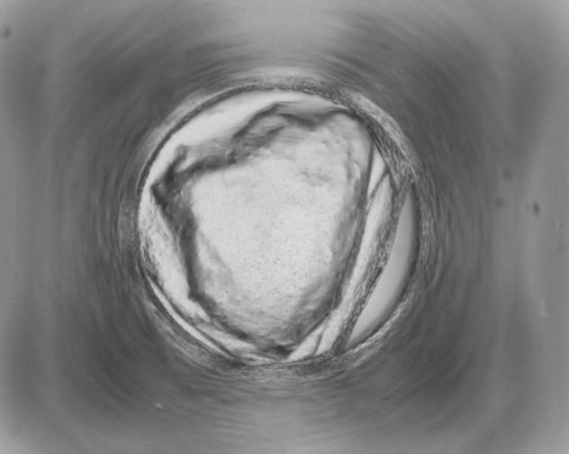 X0000085781473200704131816