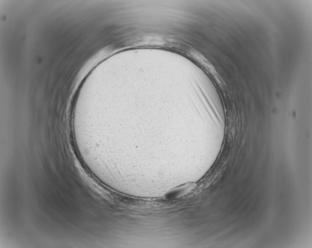 X0000085781475200704131816