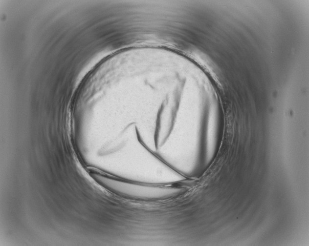 X0000085781476200704131816