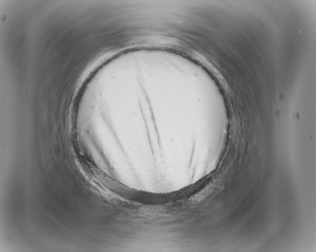 X0000085781477200704131816