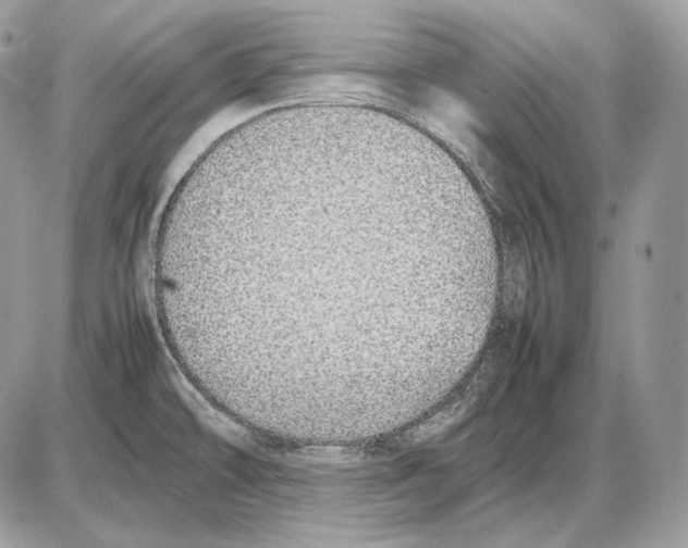 X0000085781478200704131816