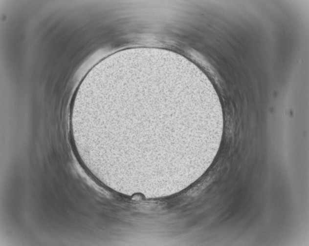 X0000085781479200704131816