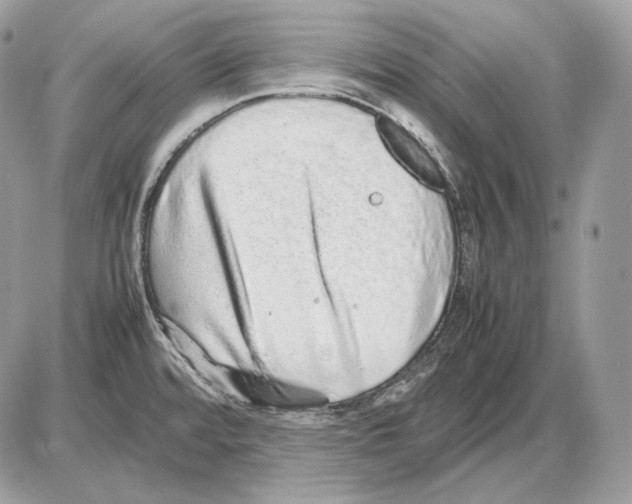 X0000085781480200704131816