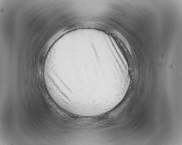 X0000085781481200704131816