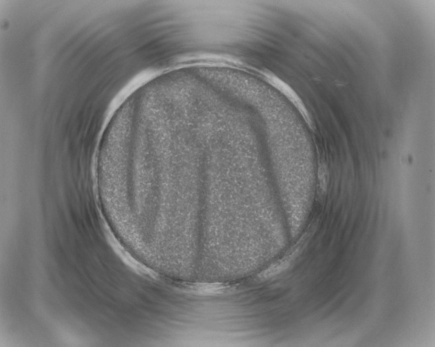 X0000085781482200704131816