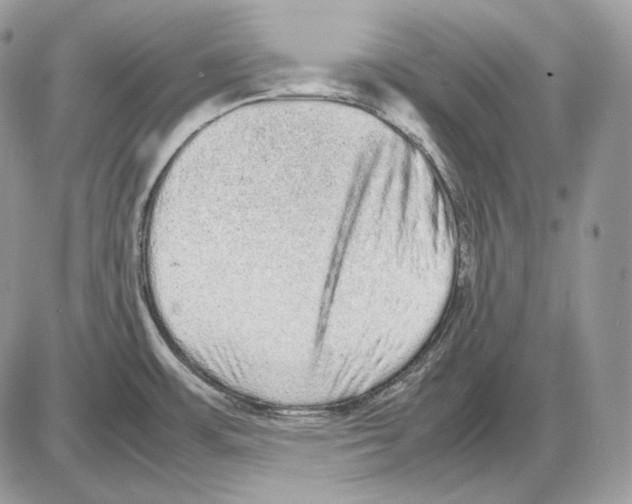 X0000085781483200704131816