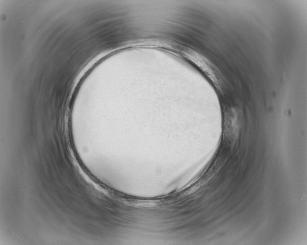 X0000085781484200704131816