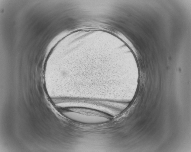 X0000085781485200704131816