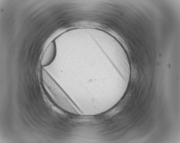 X0000085781486200704131816