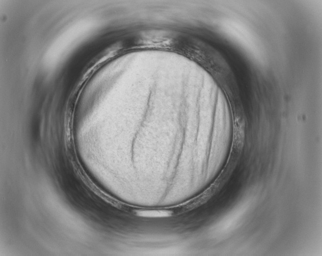 X0000085781487200704131816