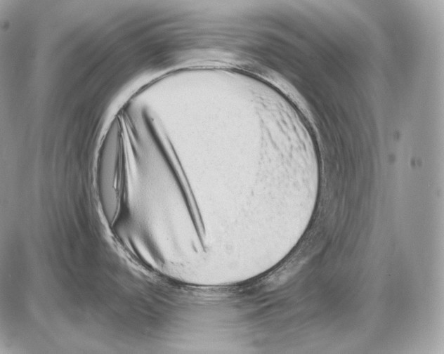 X0000085781488200704131816