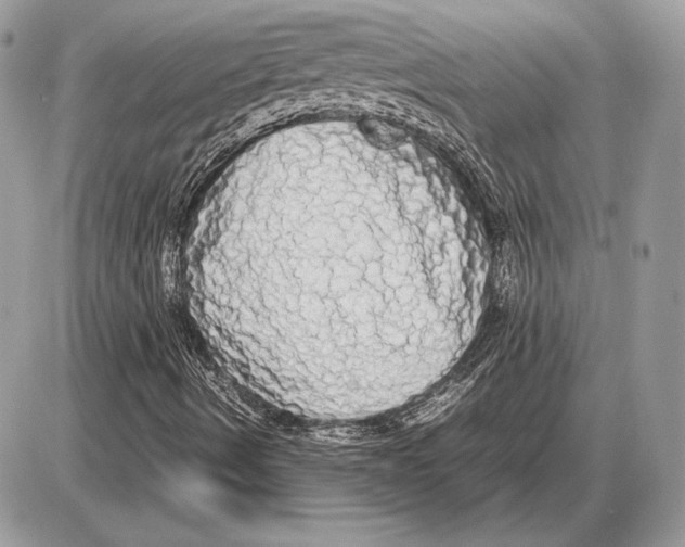 X0000085781490200704131815