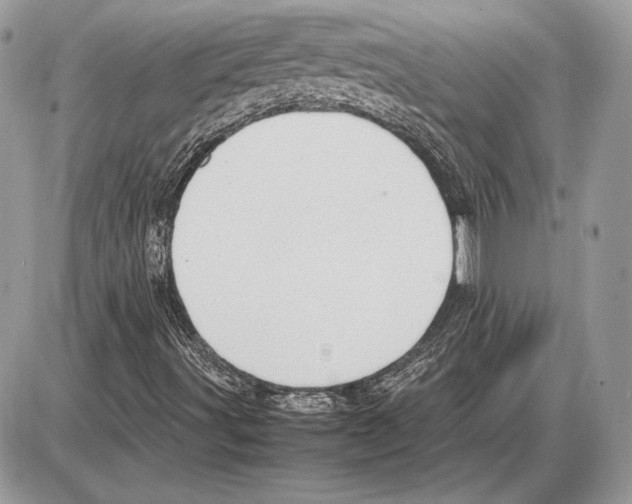 X0000085781491200704131815