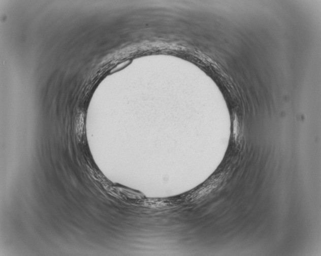 X0000085781492200704131815