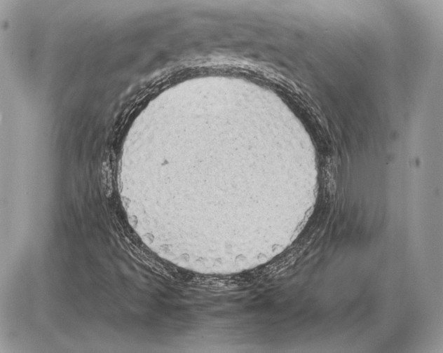 X0000085781493200704131815