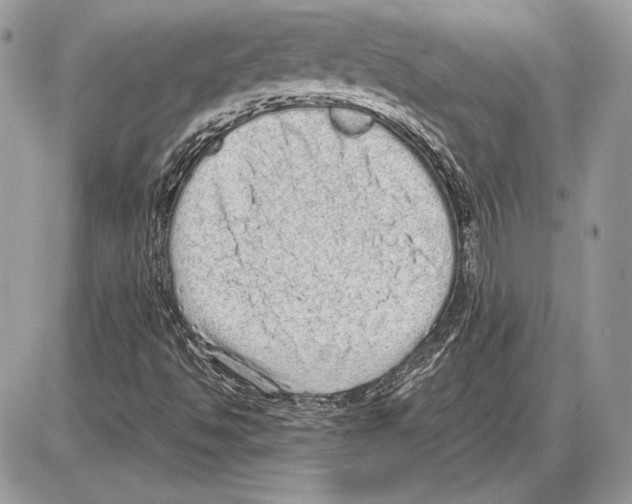 X0000085781494200704131815