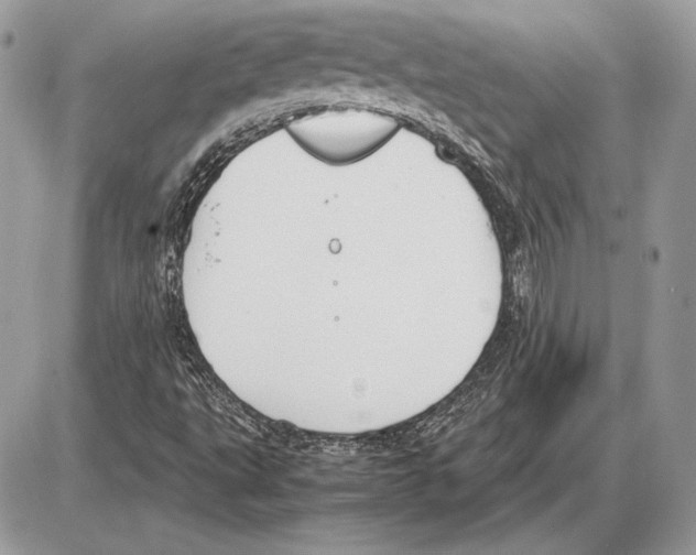 X0000085781495200704131815