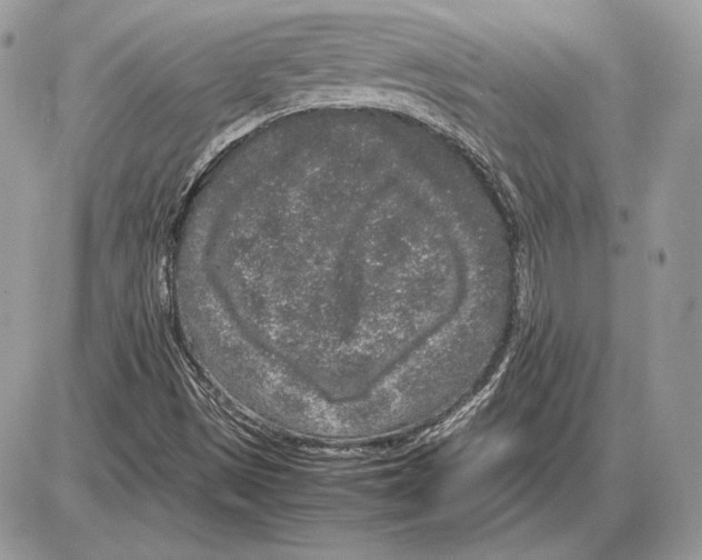 X0000085781497200704131815