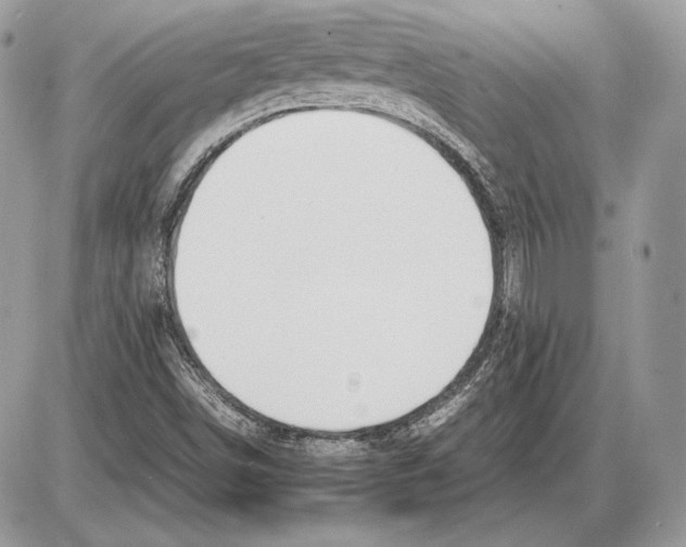 X0000085781498200704131815