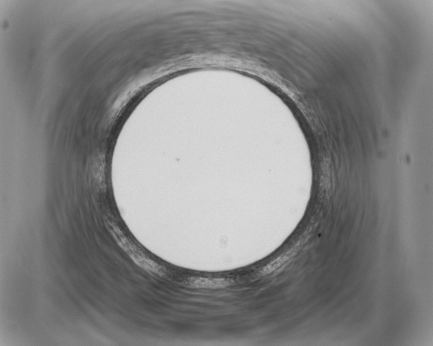 X0000085781499200704131815