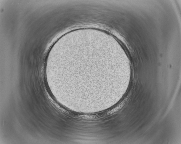 X0000085781500200704131815