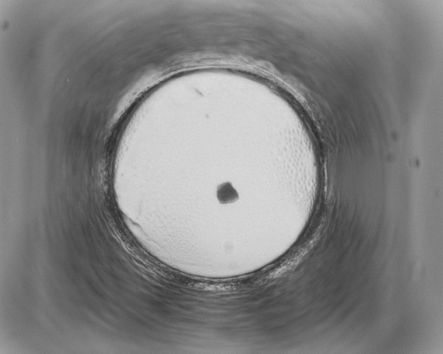 X0000085781501200704131815