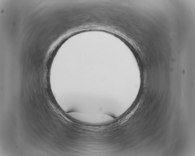 X0000085781502200704131815