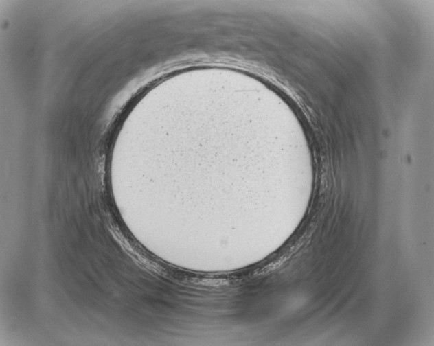 X0000085781503200704131815