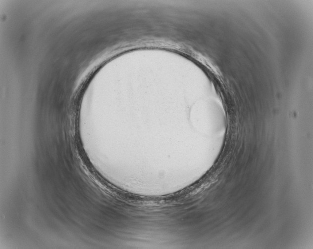 X0000085781504200704131815