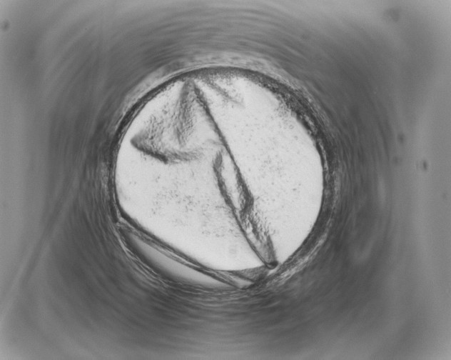 X0000085781505200704131815