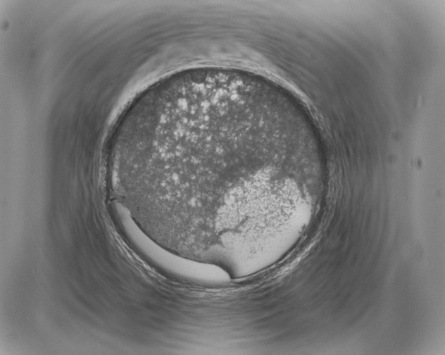 X0000085781506200704131815