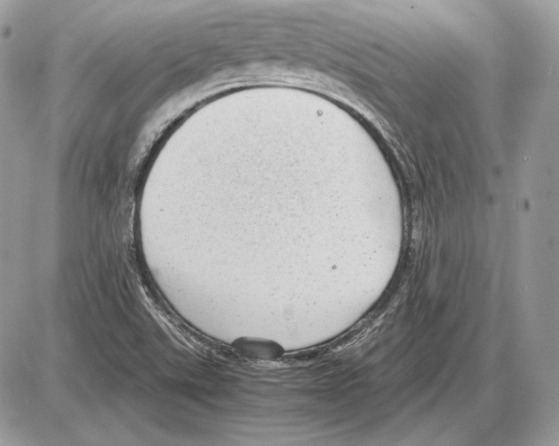 X0000085781507200704131815