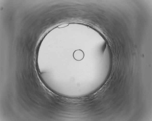 X0000085781508200704131816