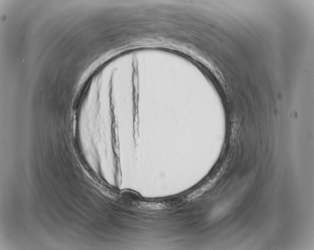 X0000085781509200704131816