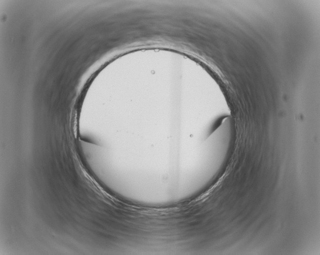 X0000085781510200704131816