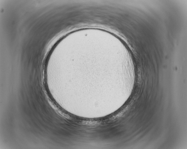 X0000085781511200704131816