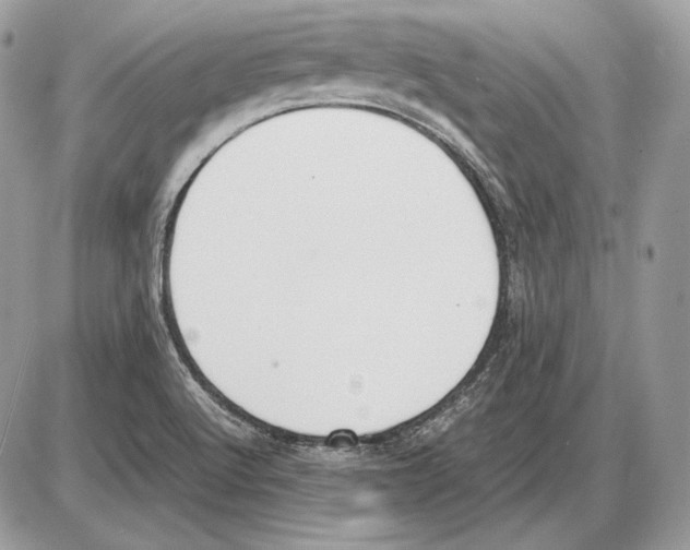 X0000085781512200704131816