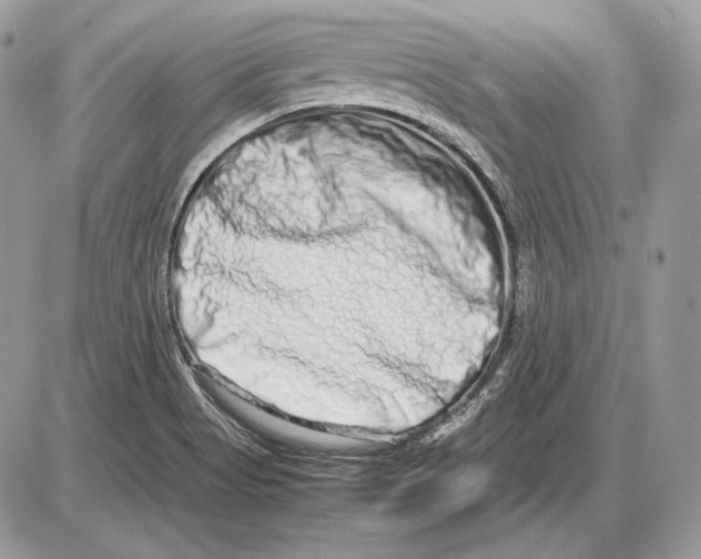 X0000085781513200704131816