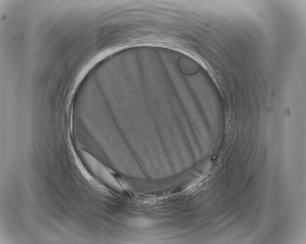 X0000085781515200704131816