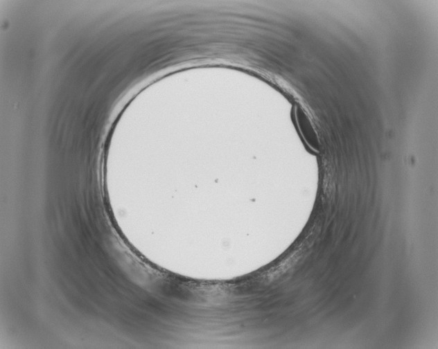 X0000085781516200704131816