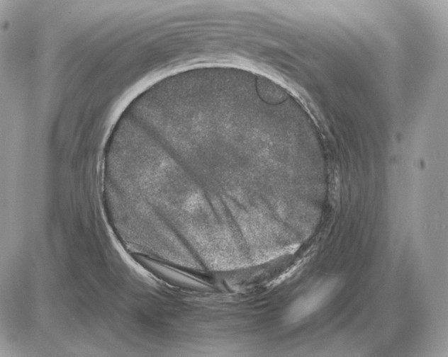 X0000085781519200704131816